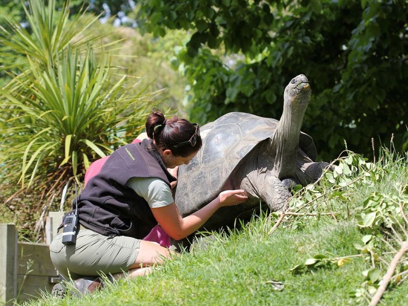 Zookeepers: The People Who Actually Run the&nbsp;Zoo